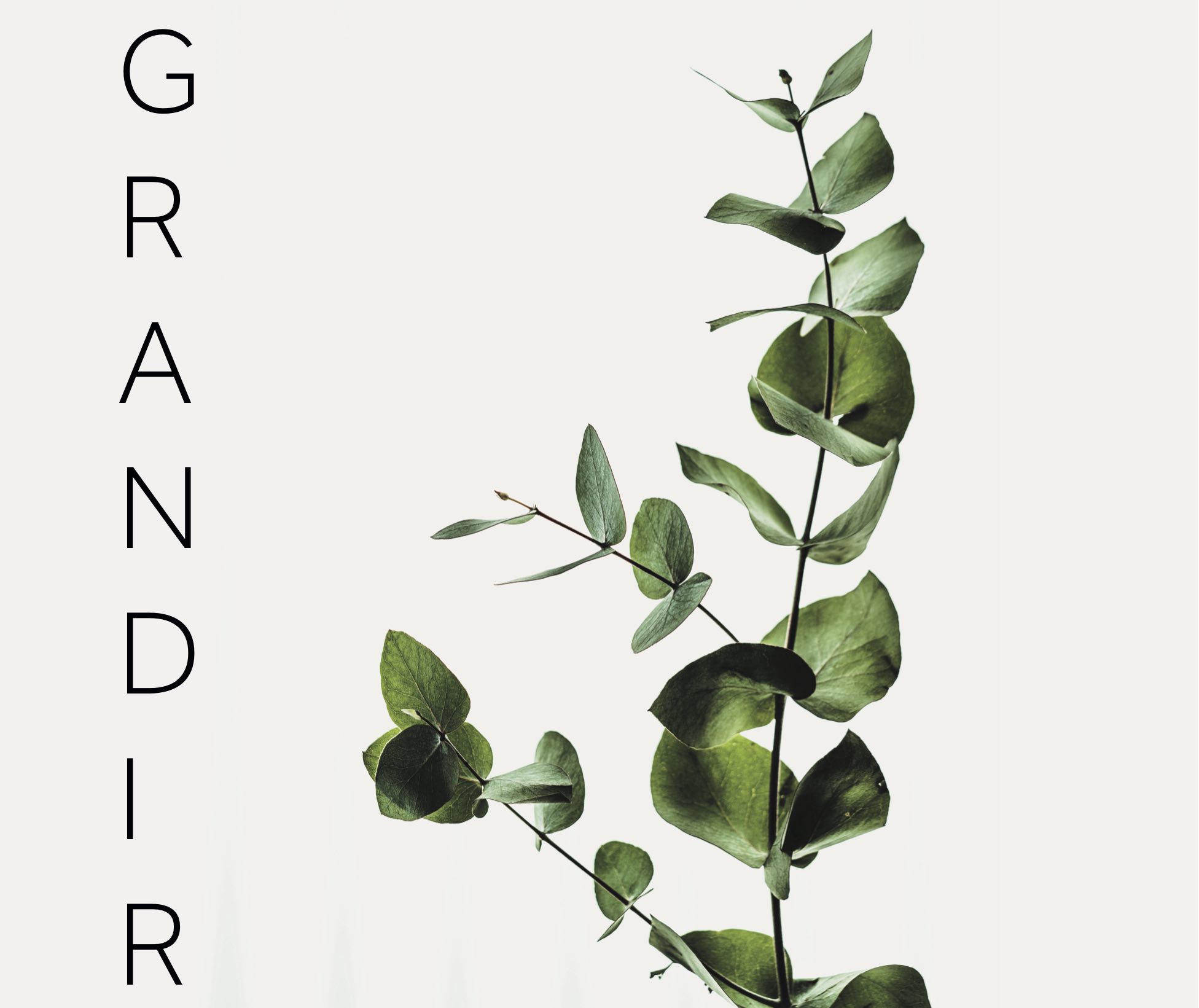 etudiants grandire-03